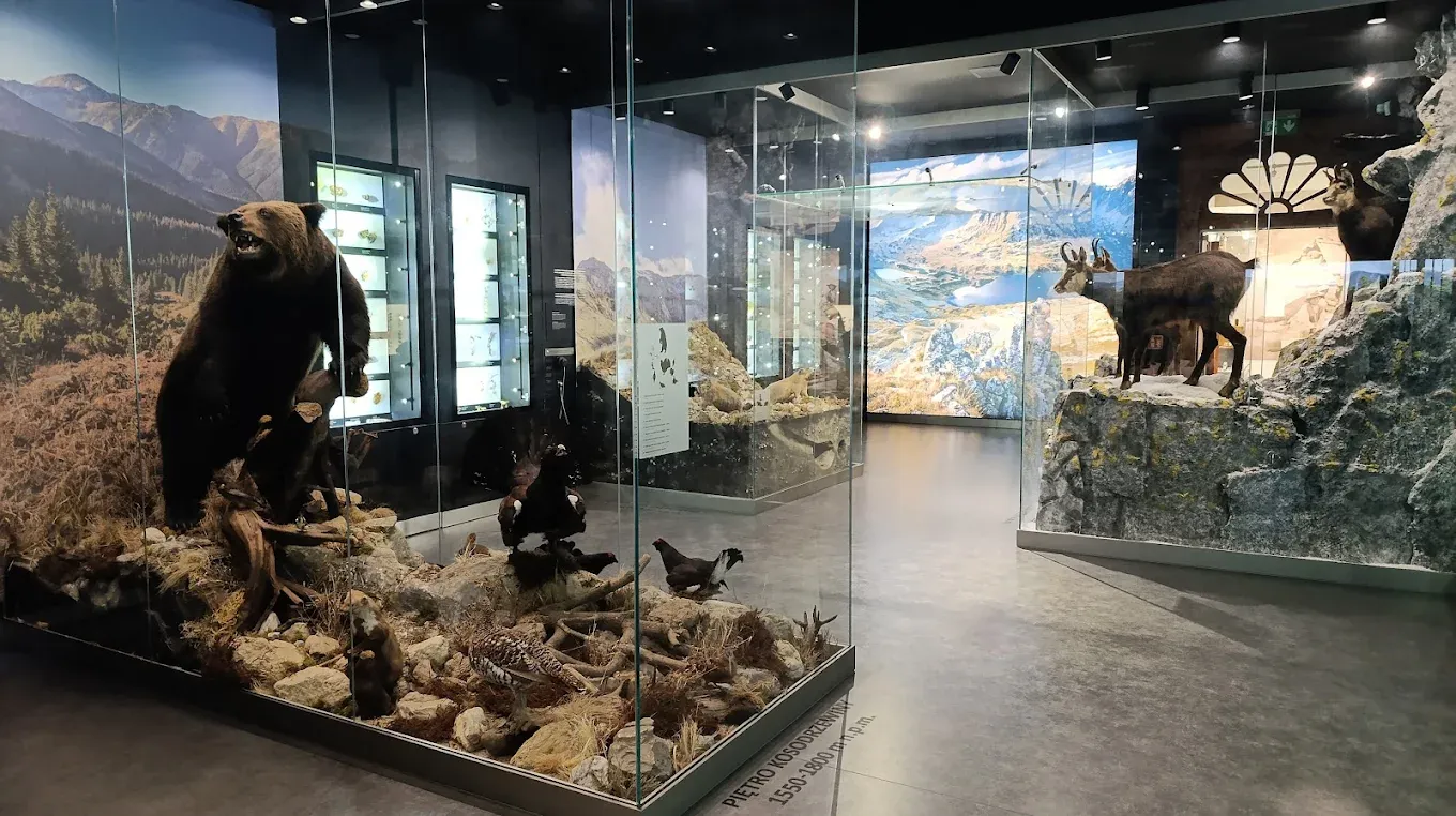 Muzeum Tatrzańskie gmach główny